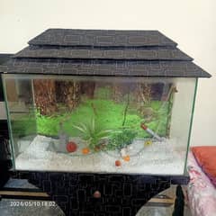 Fish Aquarium for sale with heater