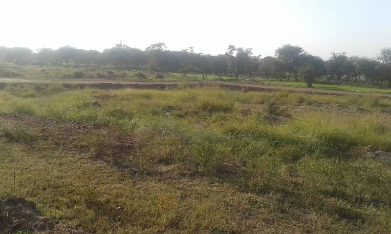 30x60 Best Location Plot Available For Sale 49