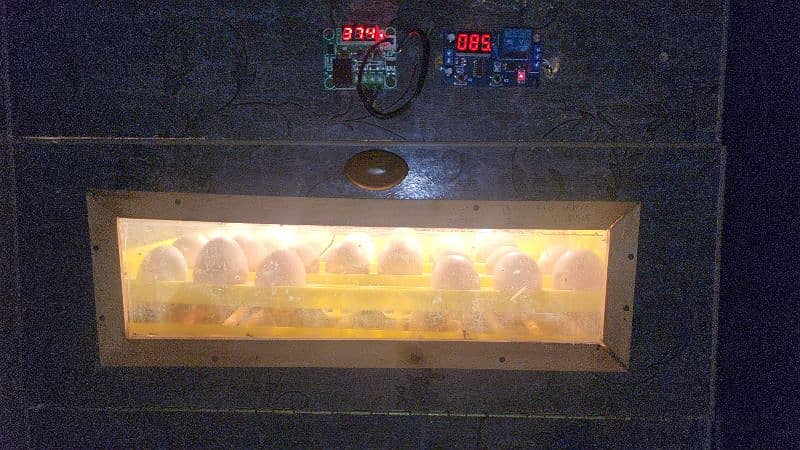 48-56 eggs fully automatic turning incubator for sale 3