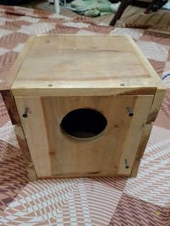 new kekar lovebirds box for sell.