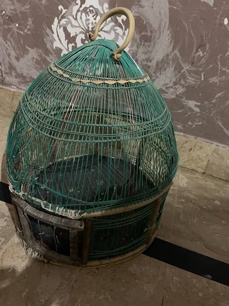 jal bird cage 11