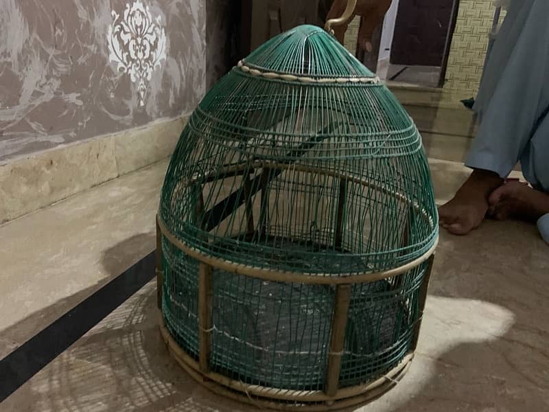 jal bird cage 12