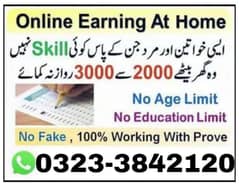 online earning 0