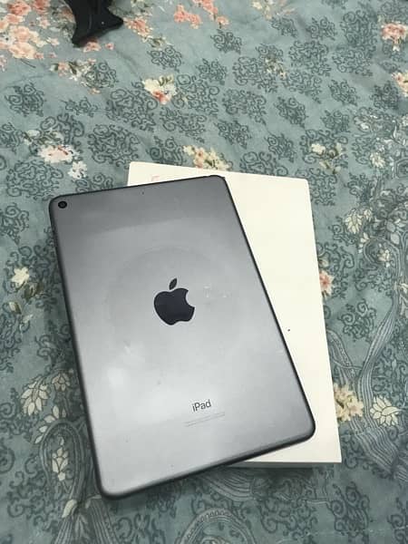 iPad mini 5 Achhe condition Mein Hai 6