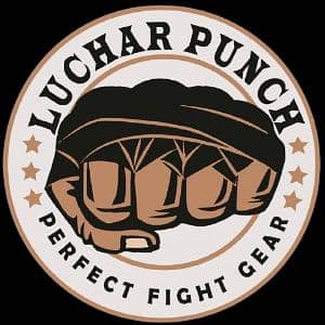 lucharpunch