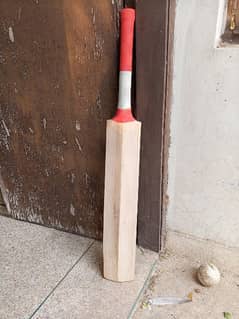 Plain English willow hard ball cricket bat 0