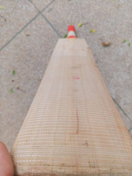 Plain English willow hard ball cricket bat 2