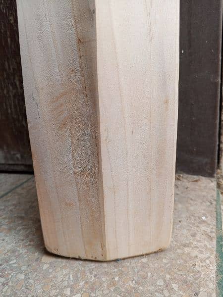 Plain English willow hard ball cricket bat 5