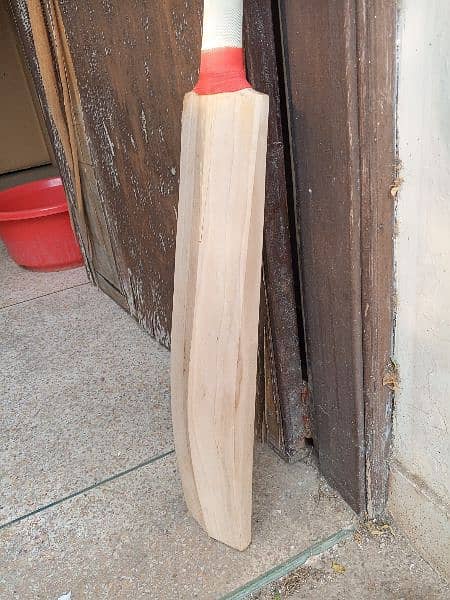 Plain English willow hard ball cricket bat 8