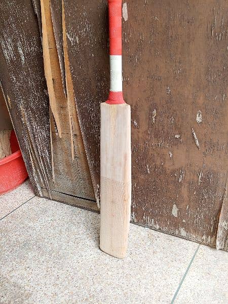 Plain English willow hard ball cricket bat 9