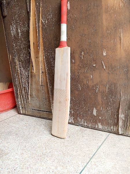 Plain English willow hard ball cricket bat 10
