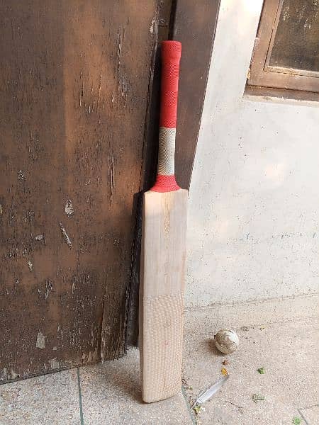 Plain English willow hard ball cricket bat 11