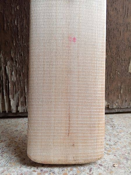 Plain English willow hard ball cricket bat 12