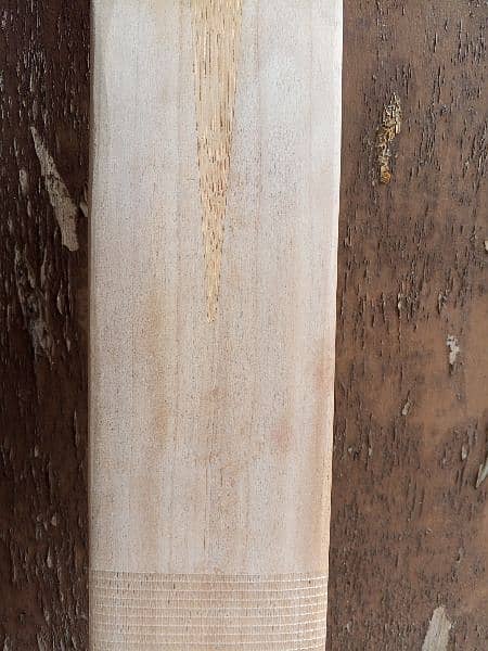 Plain English willow hard ball cricket bat 13