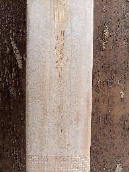 Plain English willow hard ball cricket bat 14