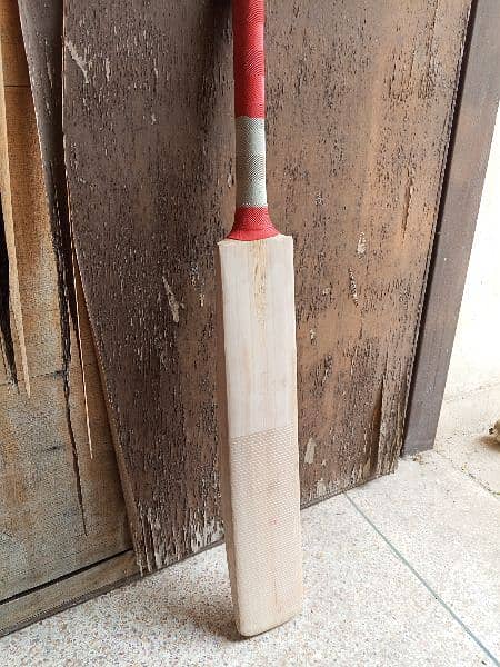 Plain English willow hard ball cricket bat 15
