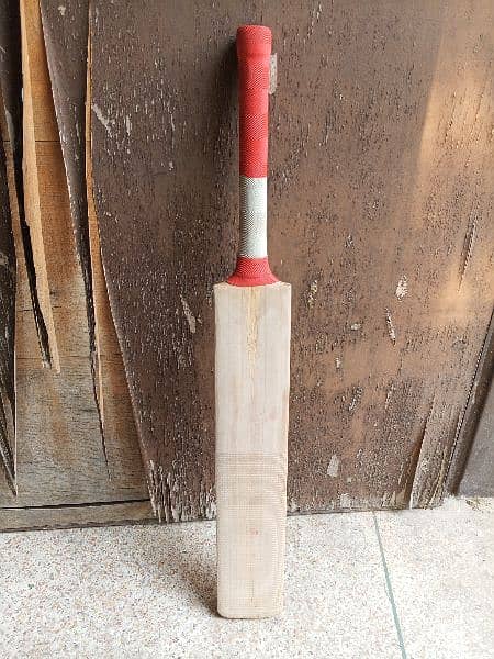 Plain English willow hard ball cricket bat 16