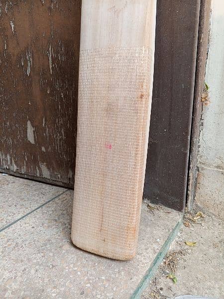 Plain English willow hard ball cricket bat 18