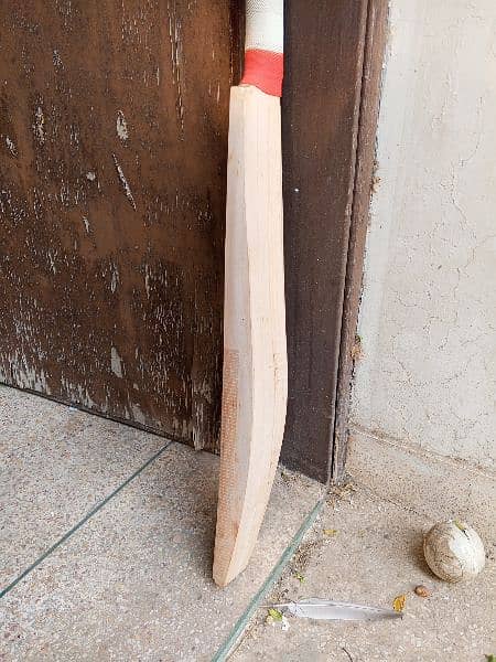 Plain English willow hard ball cricket bat 19