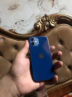 iphone 12 mini pta approved