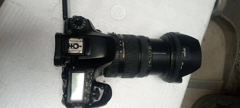 canon 80D with sigma 17 50 lens 5