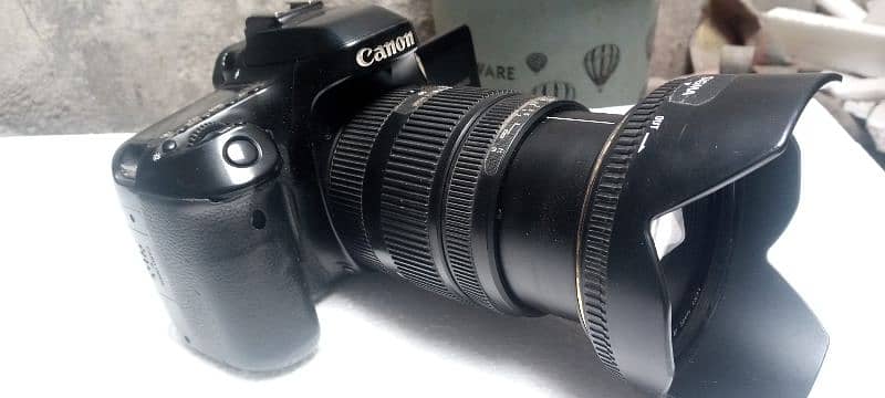 canon 80D with sigma 17 50 lens 6