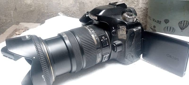 canon 80D with sigma 17 50 lens 7