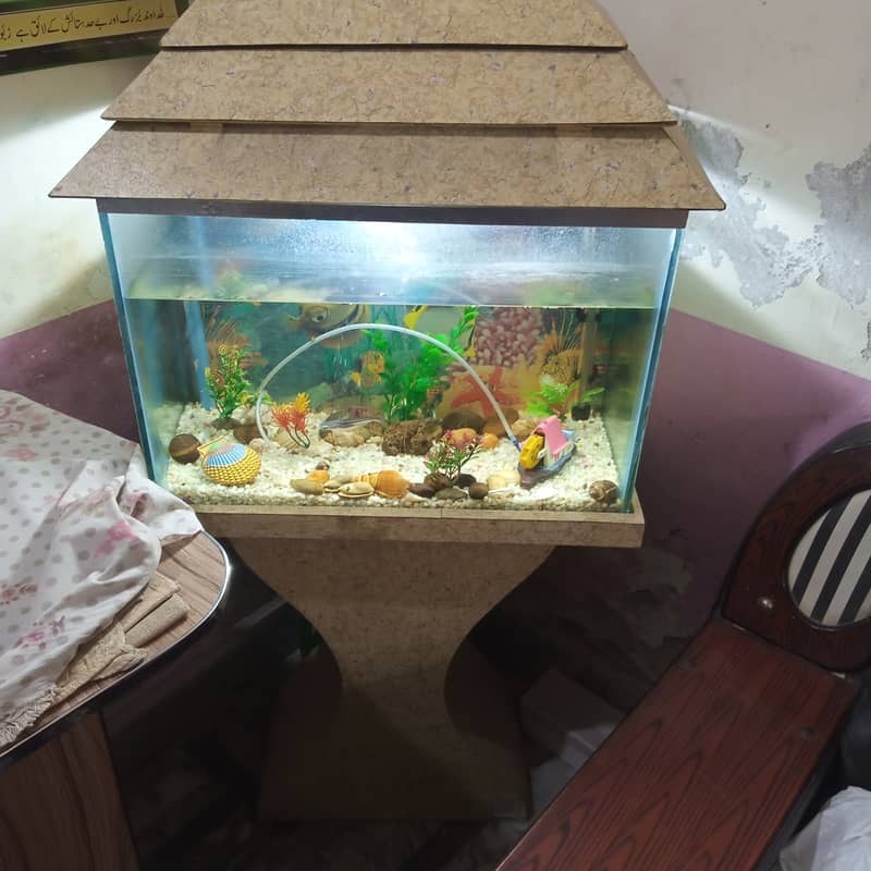 Fish Aquarium Sale with Air Pump, Plants, 2 Shark fish 03006059344 2