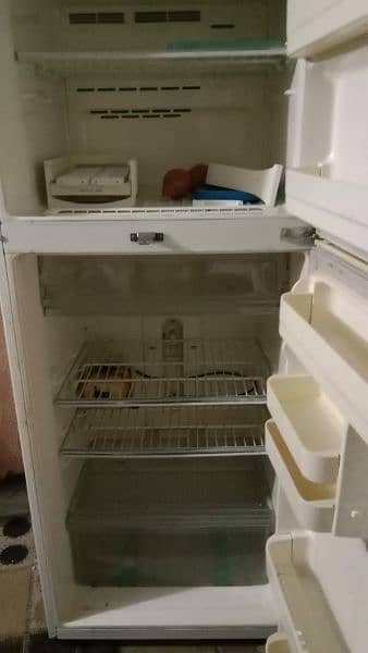 Frige for sale 6