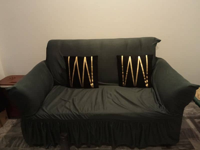 2 Seater Sofa With Cushions (Customized) 1