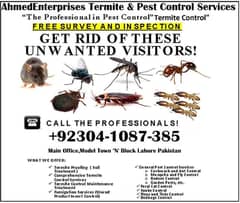 termite, mosquito, cocroach, bedbug pest control