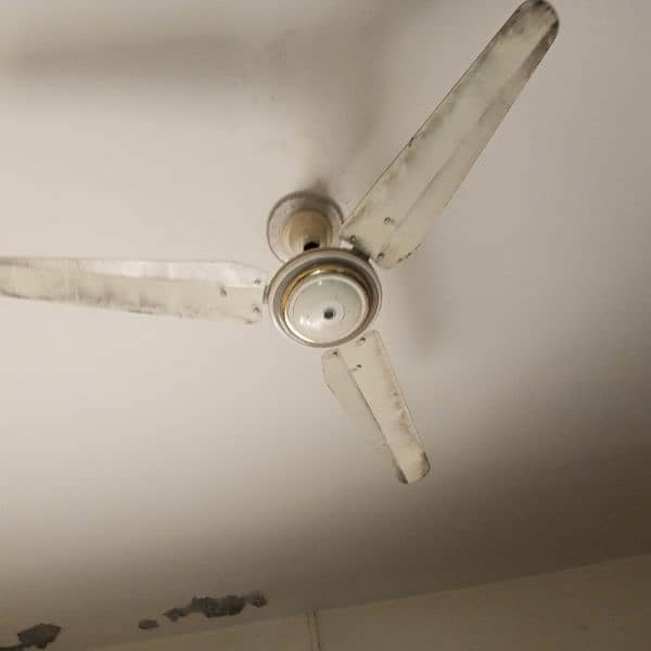 floor cooling fan 2