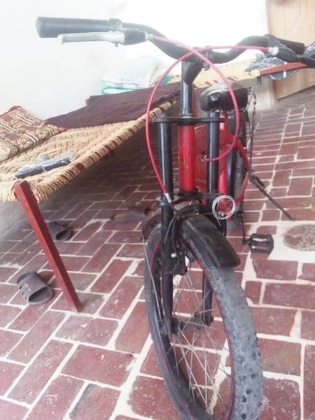 wondering bicycle with reasonable price 2