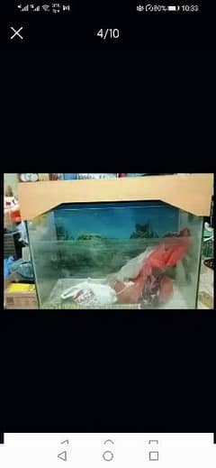 9mm glass aquarium