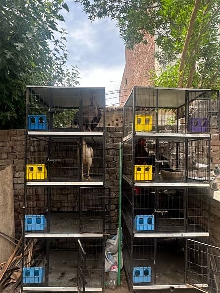 cages for sale 1