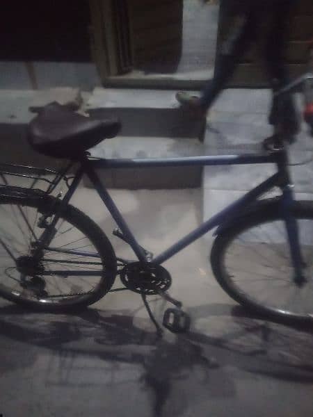 wheeling bicycle phoenix urgent sale 13
