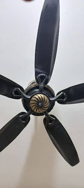 5 wing fancy fan with super air blow 0