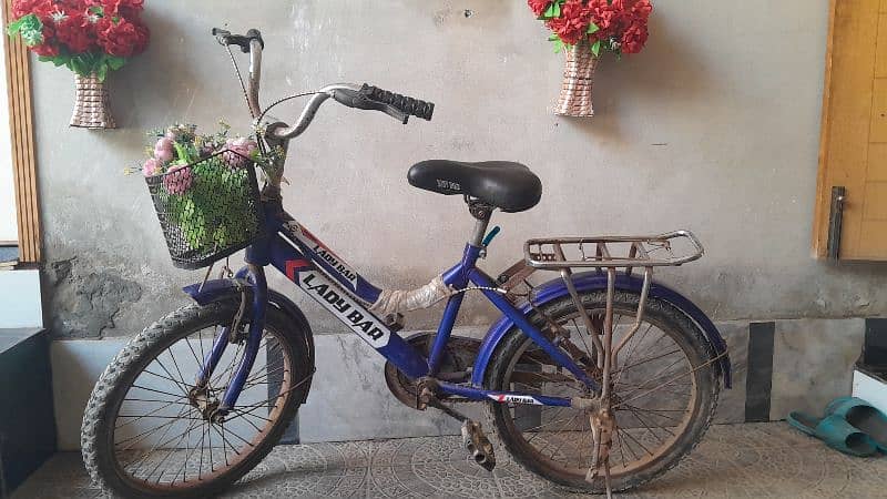 Mini bicycle (ladybar) 1