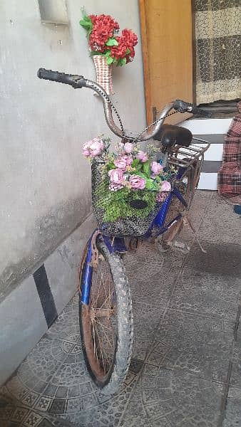 Mini bicycle (ladybar) 2