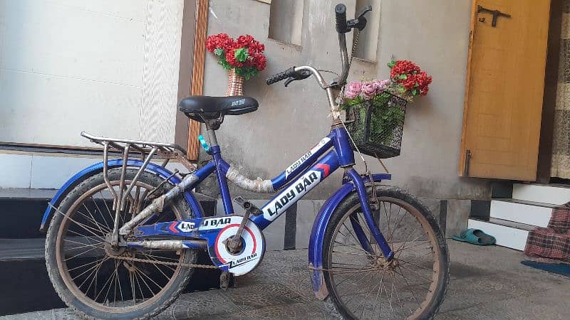 Mini bicycle (ladybar) 6