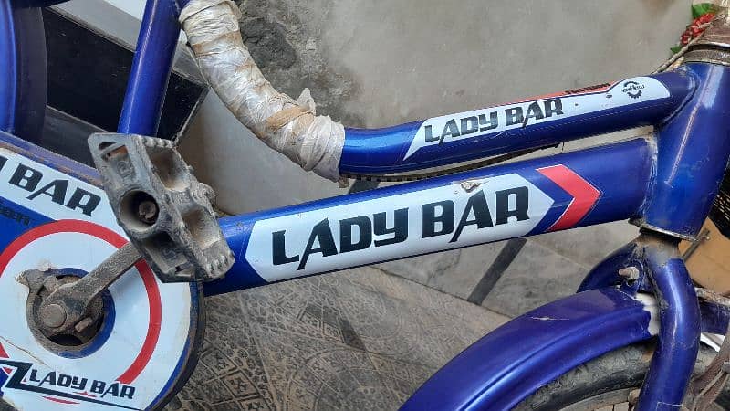 Mini bicycle (ladybar) 7
