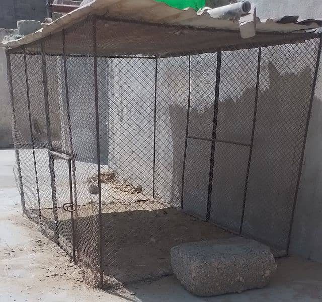 Hens Cage Contact 03211306359 2