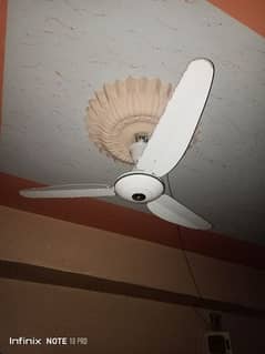 ceiling pak fan 0