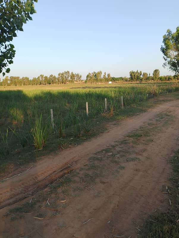 Farm house and 220 kanal agriculture land for sale at very cheap rate 9