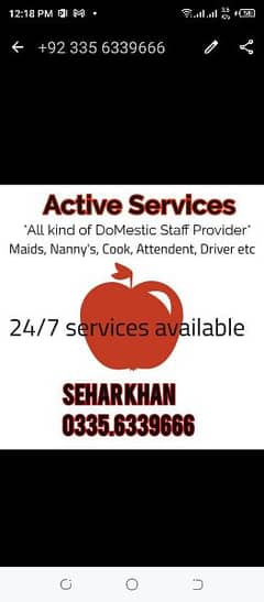 Professional Domestic staff Provider.