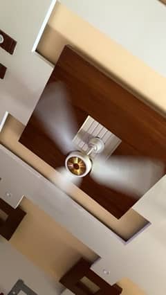 power ceiling fans