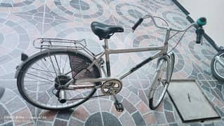 Aluminum Alton Bicycle