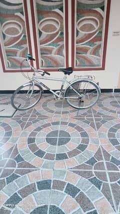 Aluminum Alton Bicycle