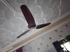selling few months used ceiling fan in great condition