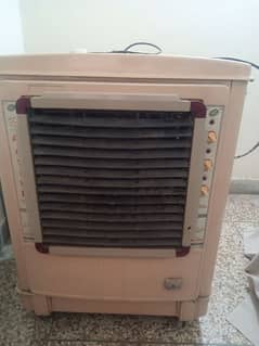 Air cooler in working condition